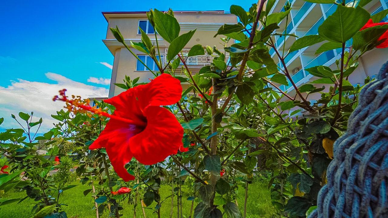 Club Wasa Holiday Village All Inclusive Toslak Exterior foto